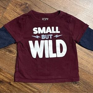 The Children's Place Burgundy and Navy Long Sleeve Tee